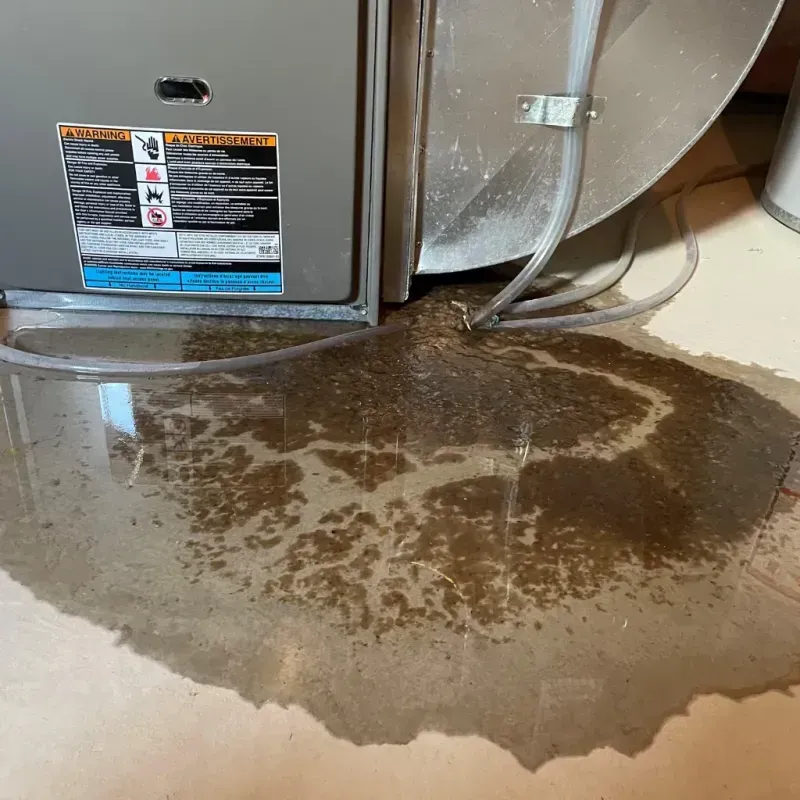 Appliance Leak Cleanup in Granite, OK